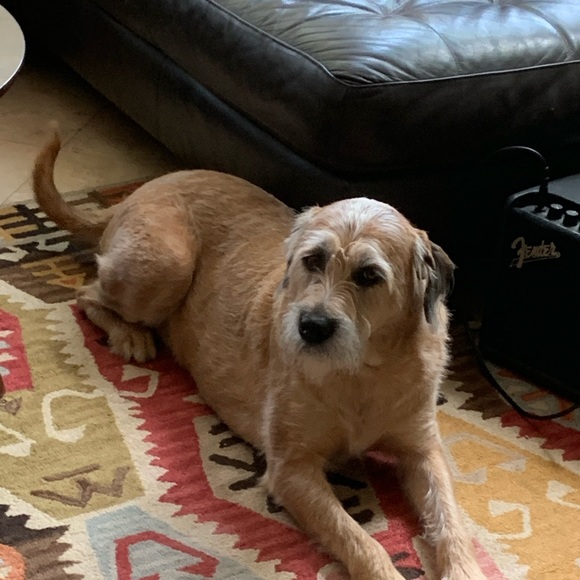 Meet your Posher, Nate - Picture 1 of 1